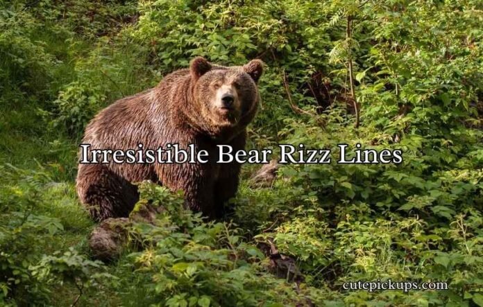 Irresistible Bear Rizz Lines