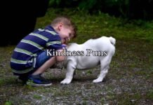 Kindness Puns Kindness Puns