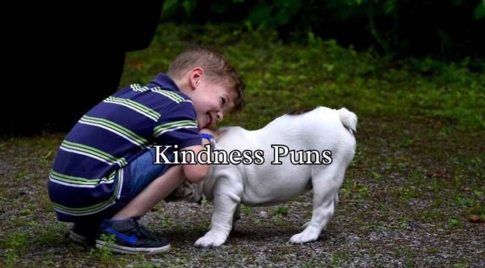 Kindness Puns Kindness Puns