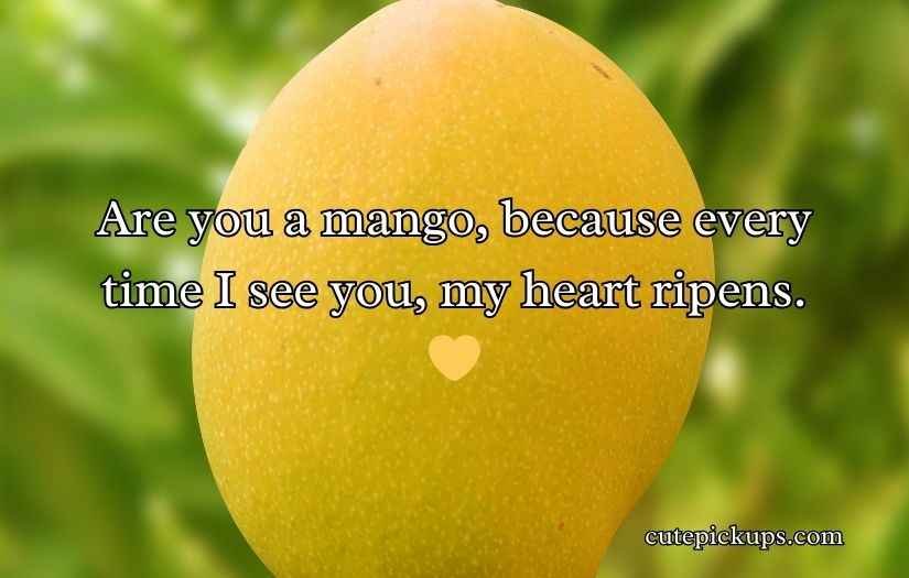 Mango Pick Up Lines