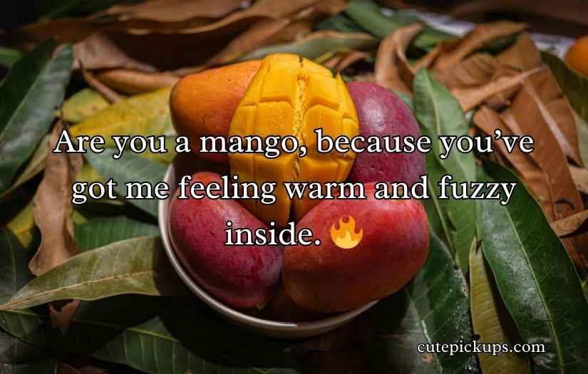 Mango Pick Up Lines