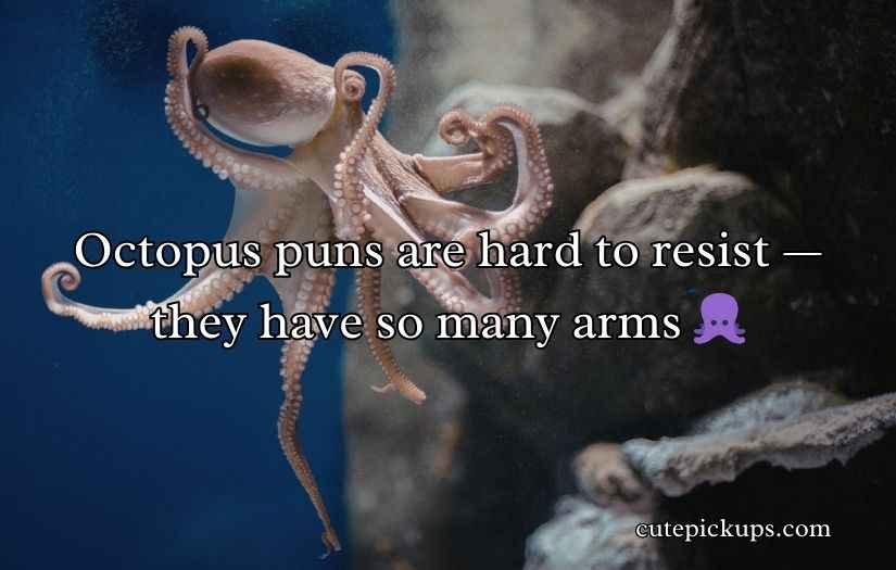 Ocean Puns and Jokes