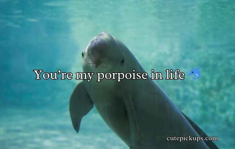 Ocean Puns and Jokes