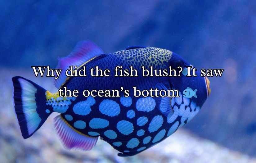 Ocean Puns and Jokes