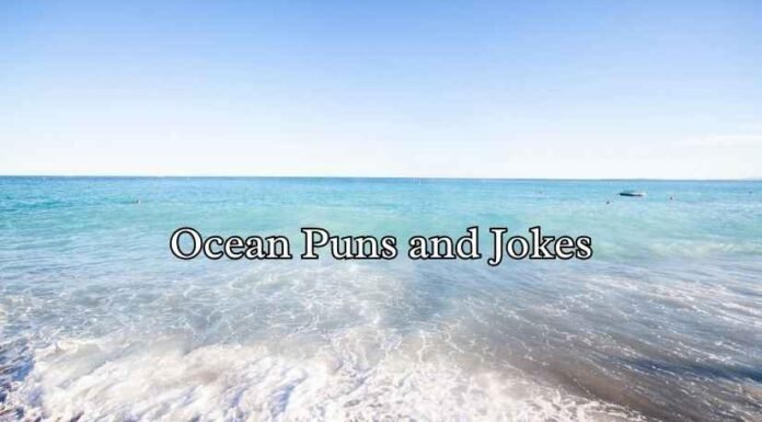 Ocean Puns and Jokes Ocean Puns and Jokes