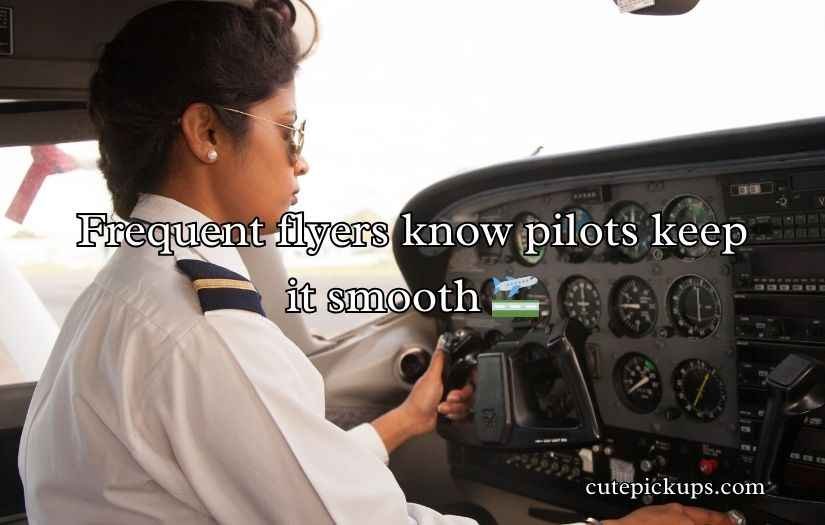 Pilot Puns