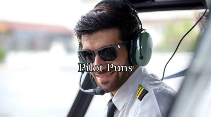 Pilot Puns Pilot Puns
