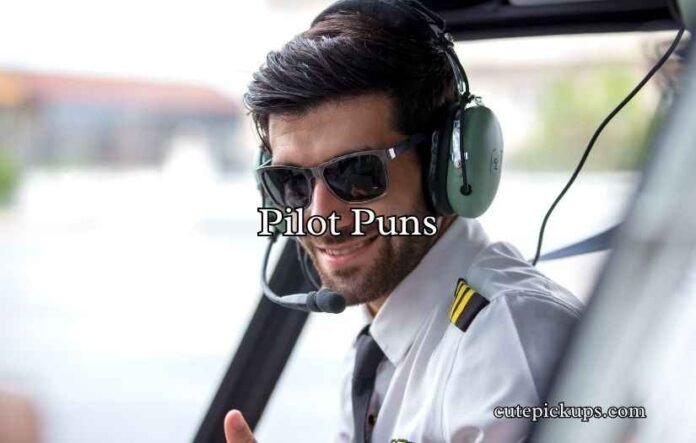 Pilot Puns