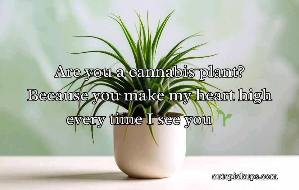 Plant Pick-Up Lines