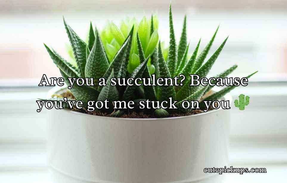 Plant Pick-Up Lines