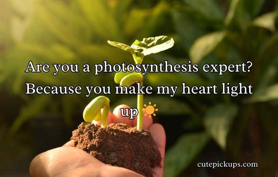 Plant Pick-Up Lines