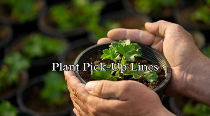 Plant Pick-Up Lines Plant Pick-Up Lines