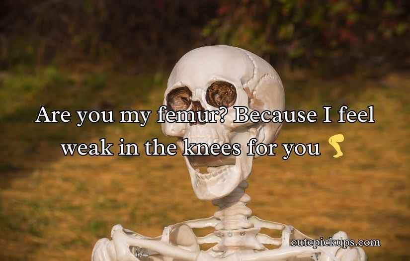 Skeleton Pick Up Lines