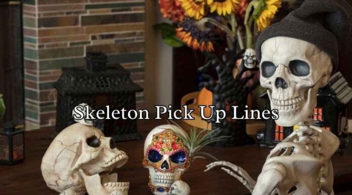 Skeleton Pick Up Lines Skeleton Pick Up Lines