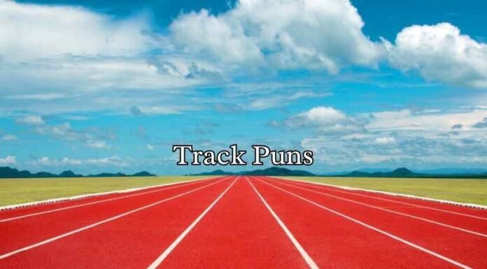 Track Puns Track Puns