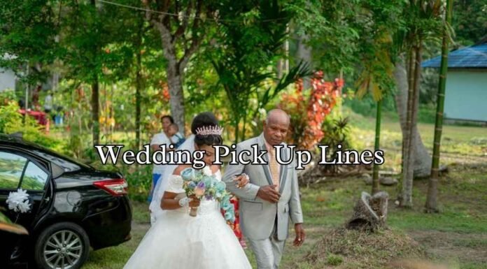 Wedding Pick Up Lines Wedding Pick Up Lines