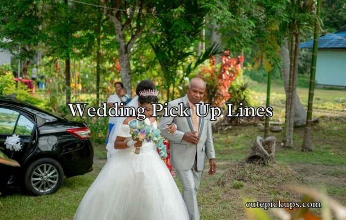 Wedding Pick Up Lines Wedding Pick Up Lines