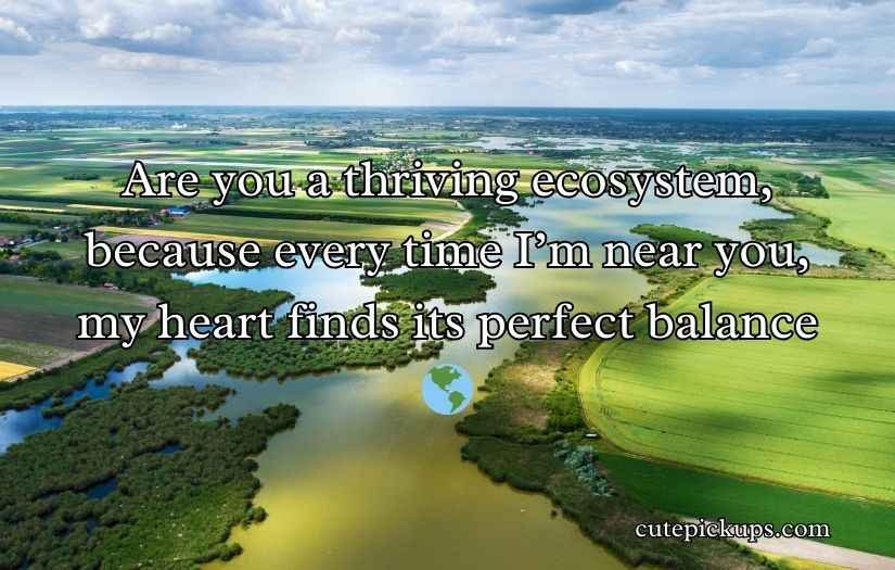 Biodiversity Rizz Lines