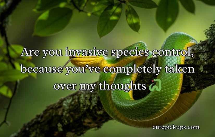 Biodiversity Rizz Lines