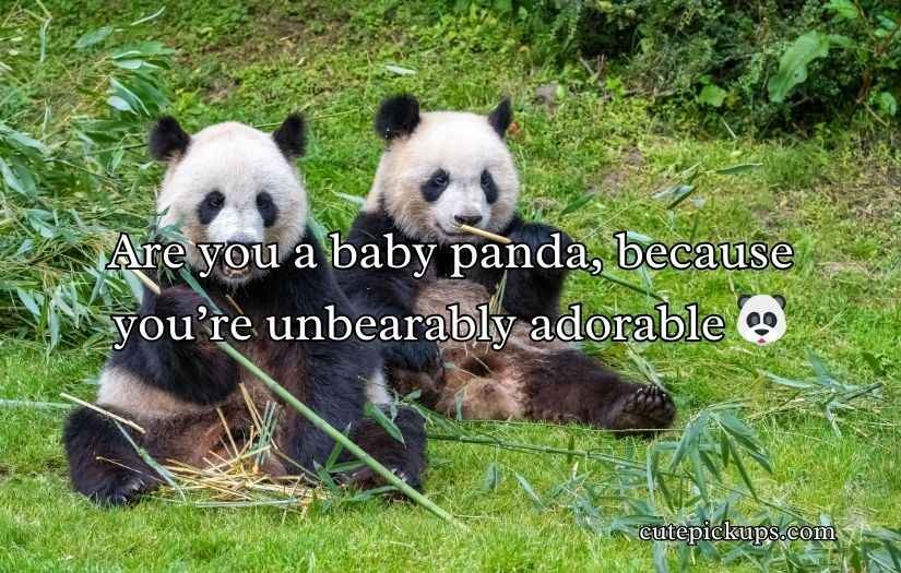 Biodiversity Rizz Lines