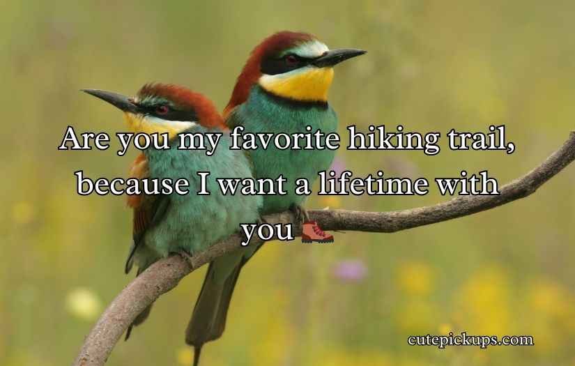 Biodiversity Rizz Lines