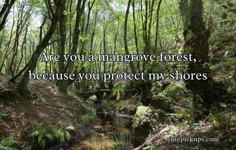 Biodiversity Rizz Lines