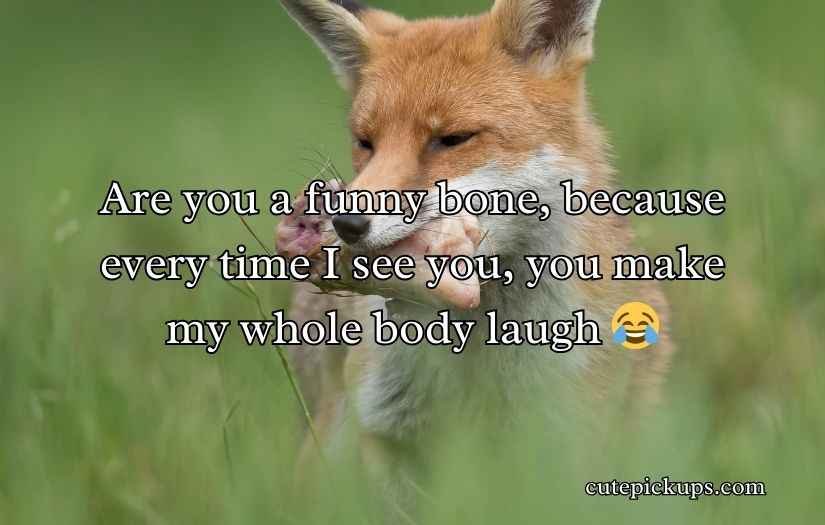 Bone Pick Up Lines and Rizz