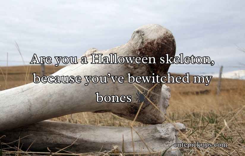 Bone Pick Up Lines and Rizz