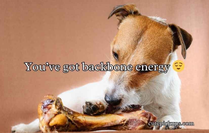 Bone Pick Up Lines and Rizz