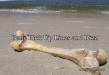 Bone Pick Up Lines and Rizz Bone Pick Up Lines and Rizz