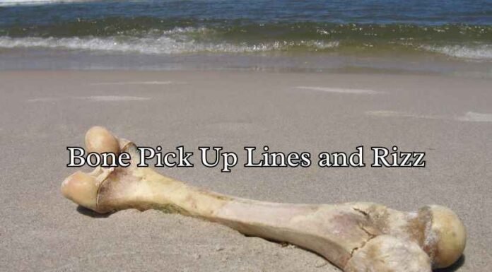 Bone Pick Up Lines and Rizz Bone Pick Up Lines and Rizz