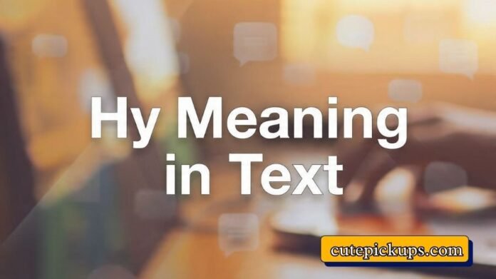 Hy Meaning in Text