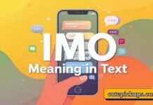 IMO Meaning in Text IMO Meaning in Text