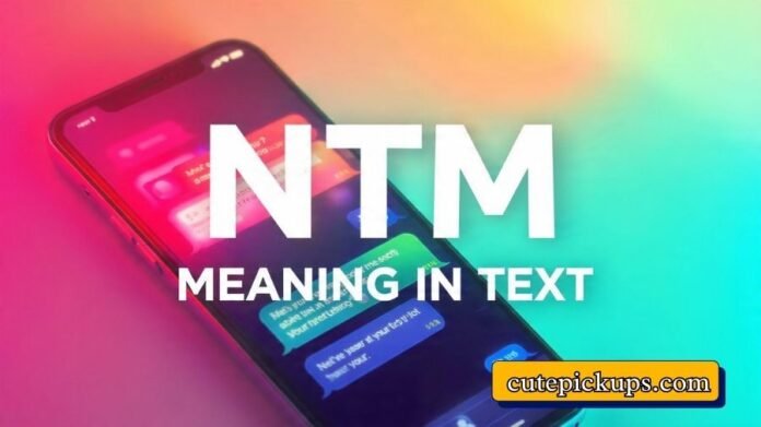NTM Meaning in Text