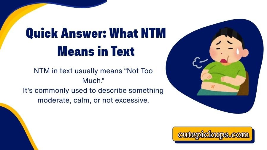 NTM Meaning in Text