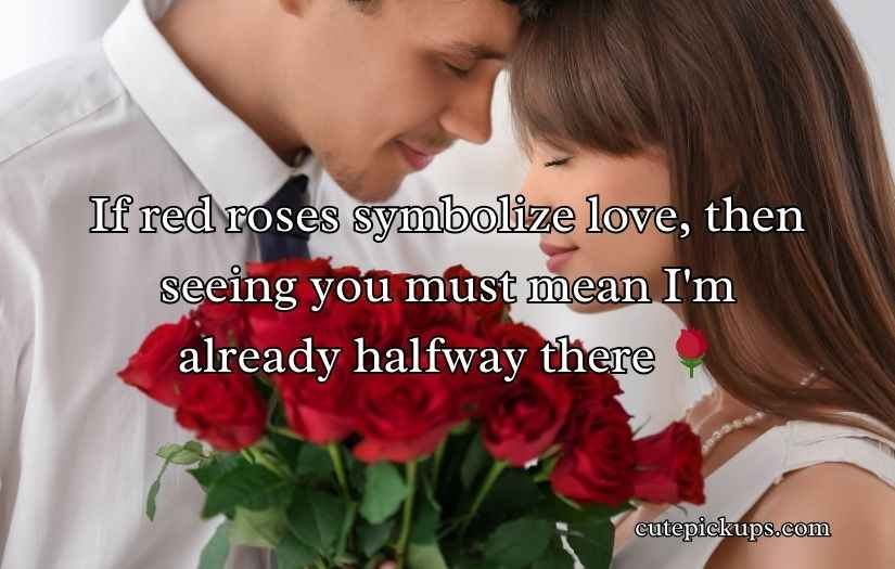 Red Roses Pick Up Lines
