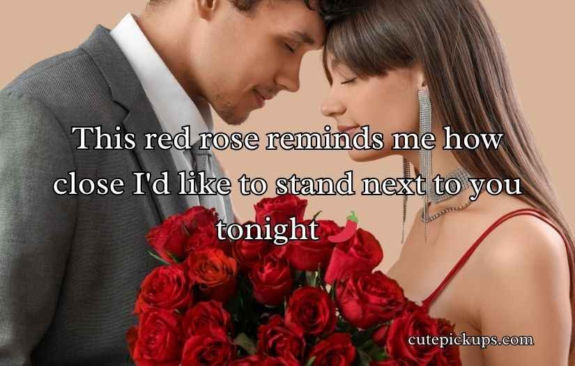 Red Roses Pick Up Lines