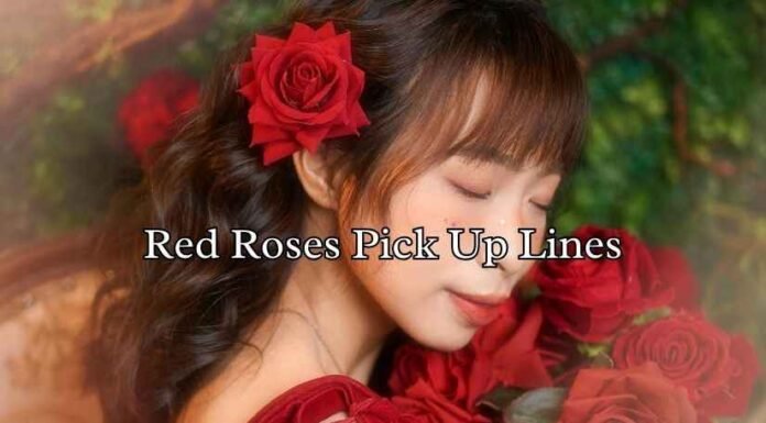 Red Roses Pick Up Lines Red Roses Pick Up Lines
