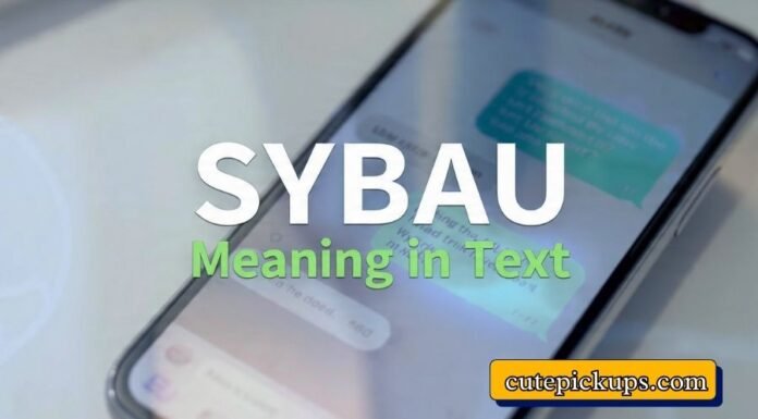 SYBAU Meaning in Text SYBAU Meaning in Text