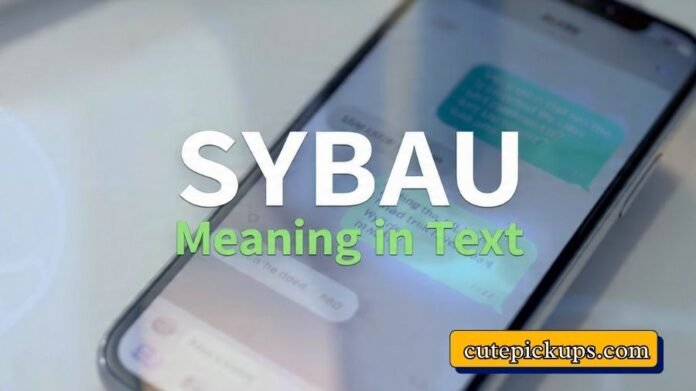 SYBAU Meaning in Text
