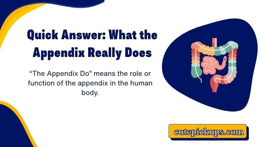The Appendix Do