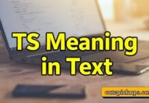 TS Meaning in Text TS Meaning in Text