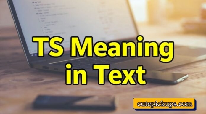 TS Meaning in Text TS Meaning in Text