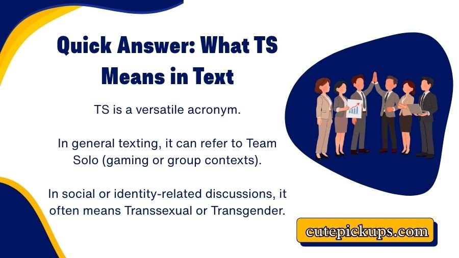 TS Meaning in Text