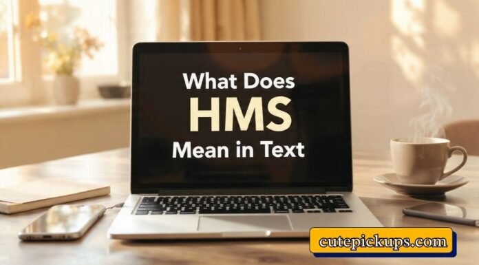 What Does HMS Mean in Text What Does HMS Mean in Text