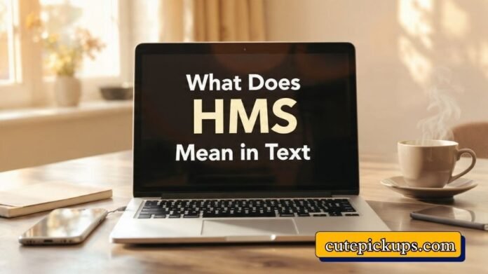 What Does HMS Mean in Text