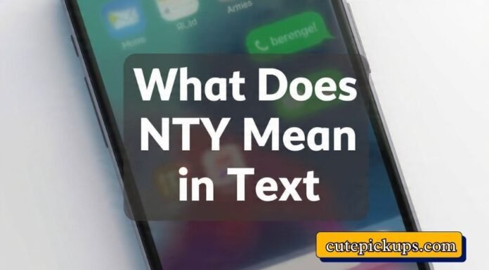 What Does NTY Mean in Text What Does NTY Mean in Text