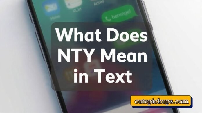 What Does NTY Mean in Text