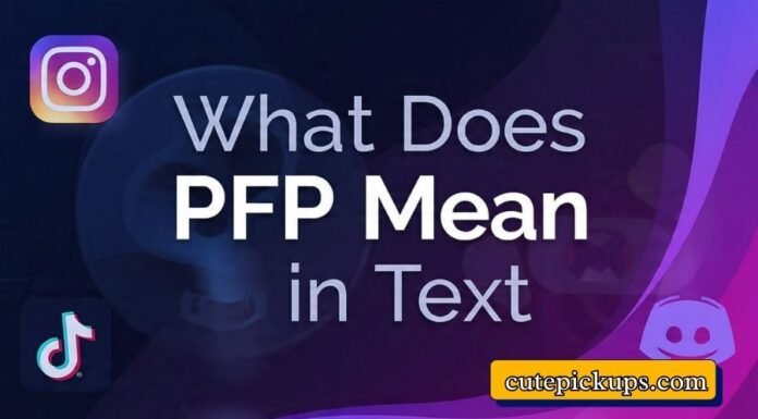 What Does PFP Mean in Text What Does PFP Mean in Text