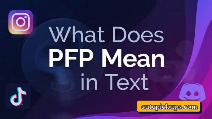 What Does PFP Mean in Text What Does PFP Mean in Text
